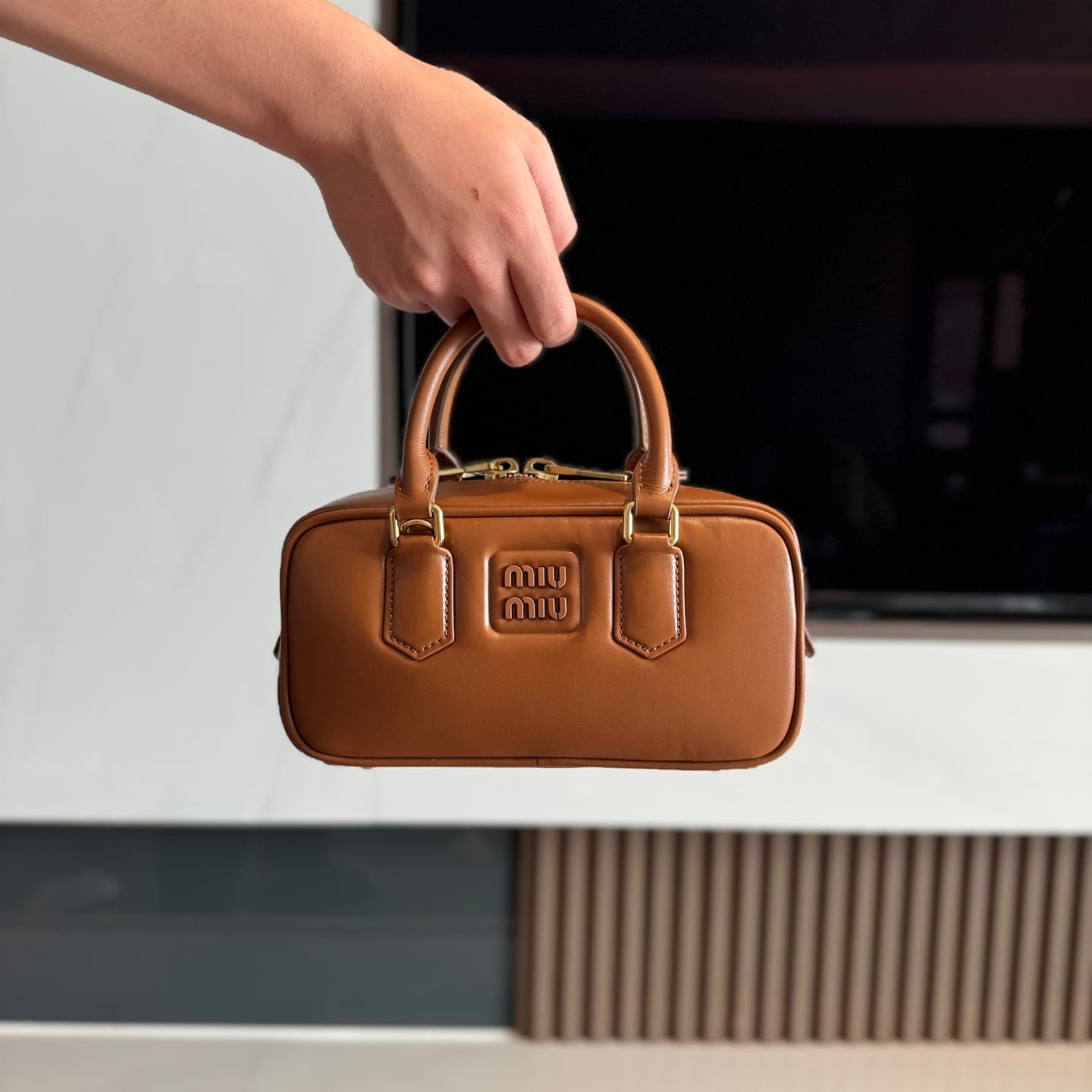 Arcadie Calfskin Leather Bag
